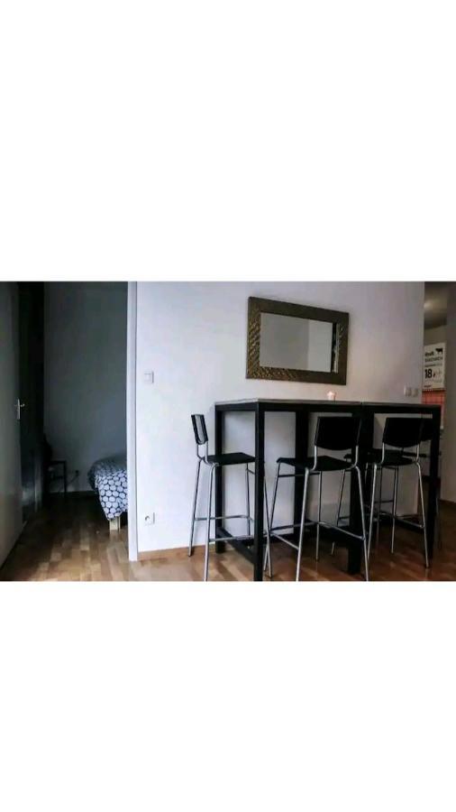 Bel Appartement Proche Du Canal Du Midi ตูลูส ภายนอก รูปภาพ