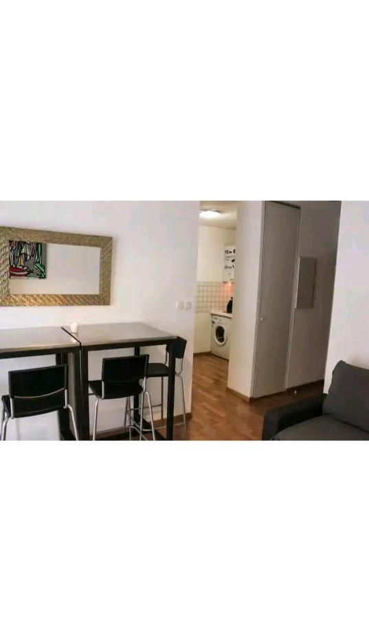 Bel Appartement Proche Du Canal Du Midi ตูลูส ภายนอก รูปภาพ